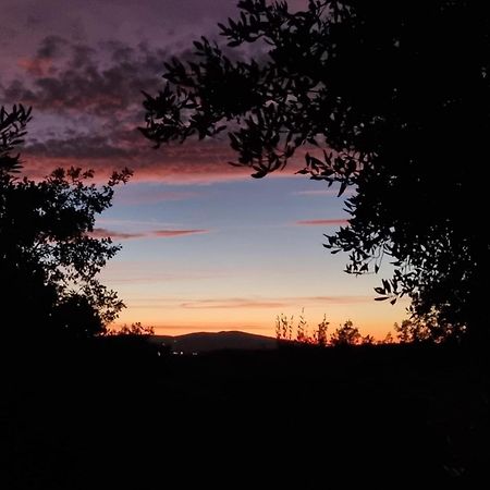 Dimora Nel Chianti Casa de hóspedes San Sano Exterior foto