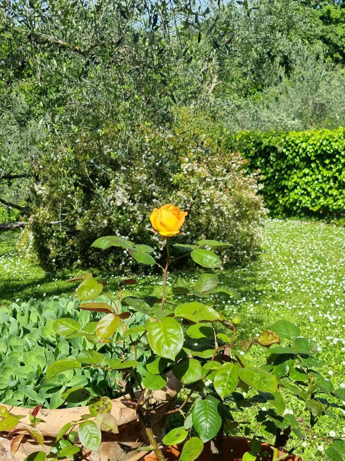 Dimora Nel Chianti Casa de hóspedes San Sano Exterior foto