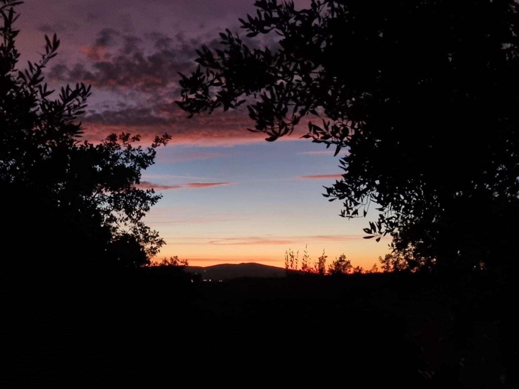 Dimora Nel Chianti Casa de hóspedes San Sano Exterior foto